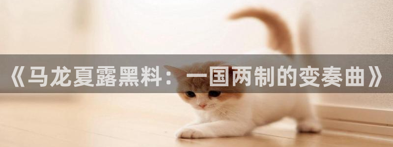 顶流男星被曝隐瞒婚史，前妻晒出聊天记录实锤
